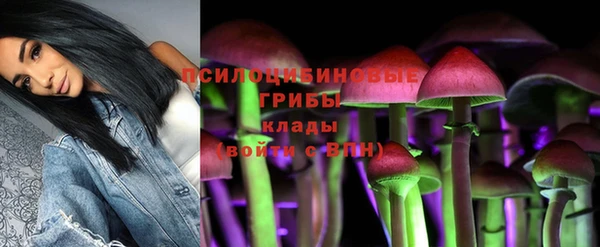 эйфоретик Баксан