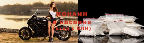 сатива Балахна