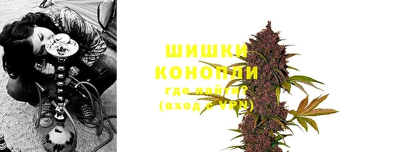 сатива Балахна