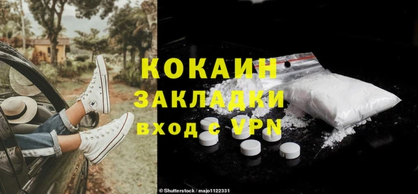 сатива Балахна