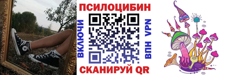 Псилоцибиновые грибы Psilocybine cubensis  Белово 